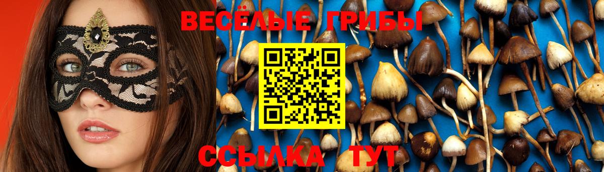 Галлюциногенные грибы мухоморы  Вход с VPN  Артёмовский 